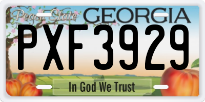 GA license plate PXF3929