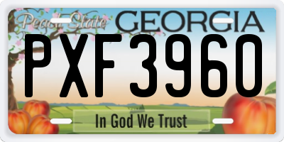GA license plate PXF3960