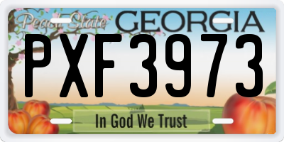 GA license plate PXF3973