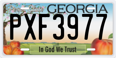 GA license plate PXF3977