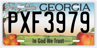GA license plate PXF3979