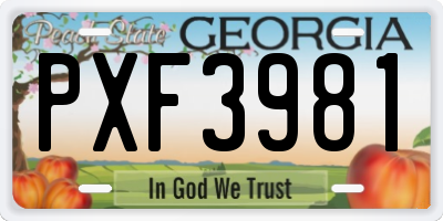 GA license plate PXF3981