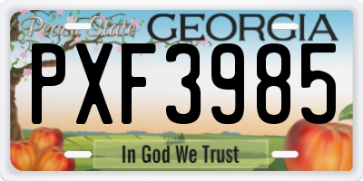 GA license plate PXF3985