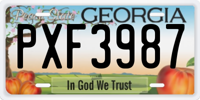 GA license plate PXF3987