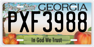 GA license plate PXF3988