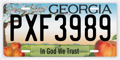 GA license plate PXF3989