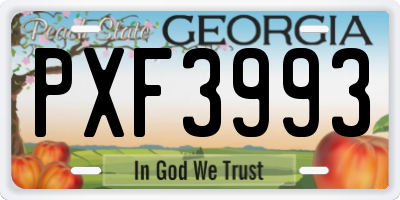 GA license plate PXF3993