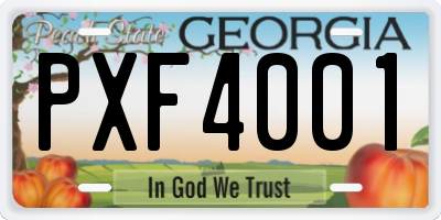 GA license plate PXF4001