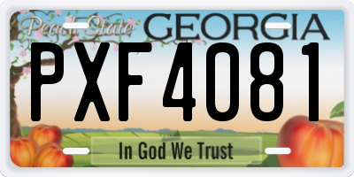 GA license plate PXF4081