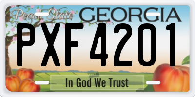 GA license plate PXF4201