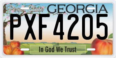 GA license plate PXF4205