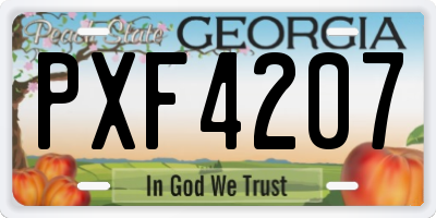 GA license plate PXF4207