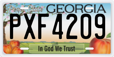 GA license plate PXF4209