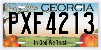 GA license plate PXF4213