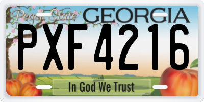 GA license plate PXF4216