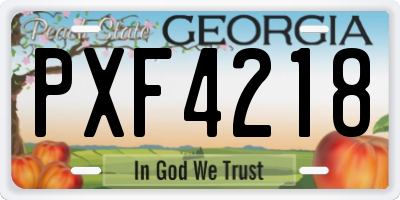 GA license plate PXF4218