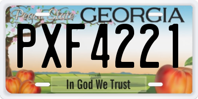 GA license plate PXF4221