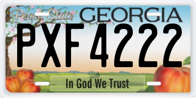 GA license plate PXF4222