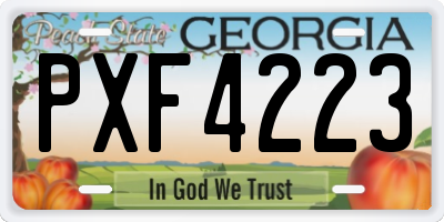 GA license plate PXF4223