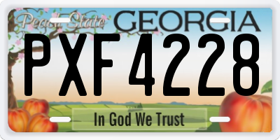 GA license plate PXF4228
