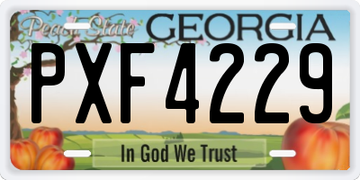 GA license plate PXF4229