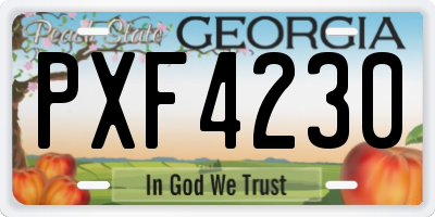 GA license plate PXF4230
