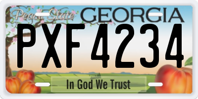 GA license plate PXF4234