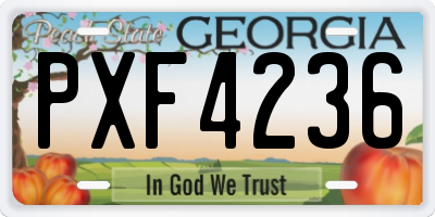 GA license plate PXF4236