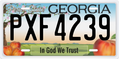 GA license plate PXF4239