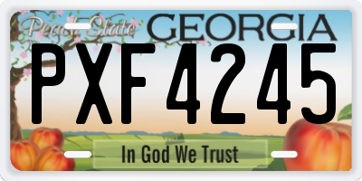 GA license plate PXF4245