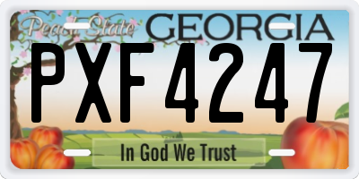 GA license plate PXF4247