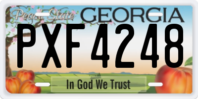 GA license plate PXF4248