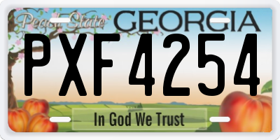 GA license plate PXF4254