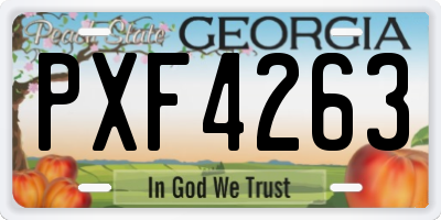 GA license plate PXF4263
