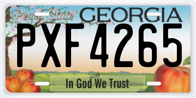 GA license plate PXF4265