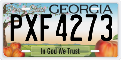 GA license plate PXF4273