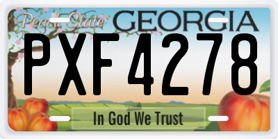 GA license plate PXF4278