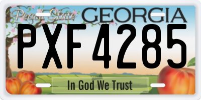 GA license plate PXF4285
