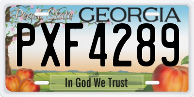 GA license plate PXF4289