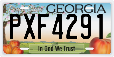 GA license plate PXF4291