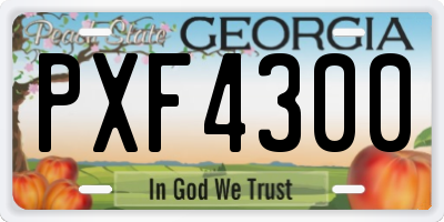 GA license plate PXF4300