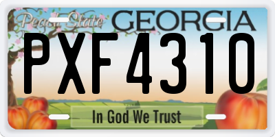 GA license plate PXF4310