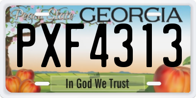 GA license plate PXF4313
