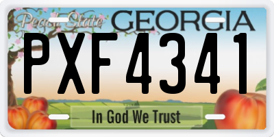 GA license plate PXF4341