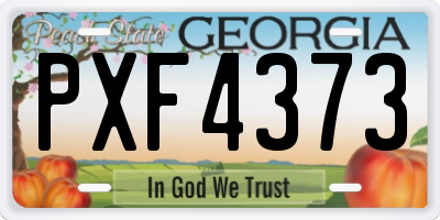 GA license plate PXF4373