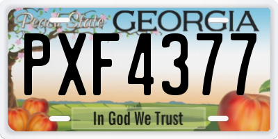 GA license plate PXF4377