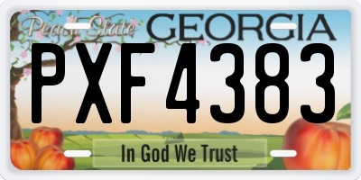 GA license plate PXF4383