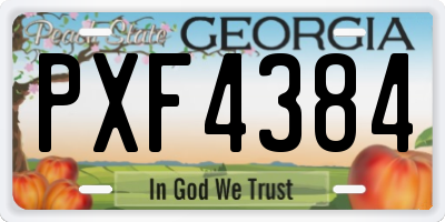 GA license plate PXF4384