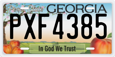 GA license plate PXF4385