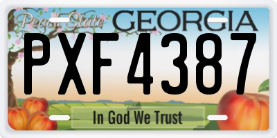 GA license plate PXF4387